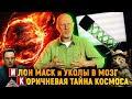 Газовая тайна, коты против системы, клетки молодости | Новости науки