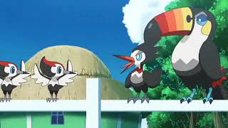 Pokemon-Trumbeak and Toucannon At Action Pokemon-Trumbeak and Toucannon At Action