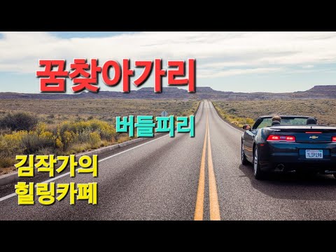 꿈찾아가리 버들피리