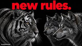 A Tiger Walks Kazakhstan Again. She Started by Hunting the Wolves.