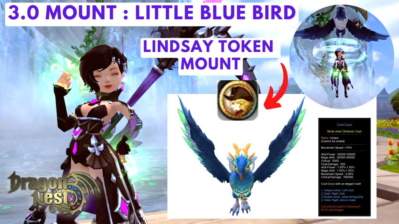 DN SEA | 3.0 Mount : Little Blue Bird | Buying Blue Bird using Lindsay Token