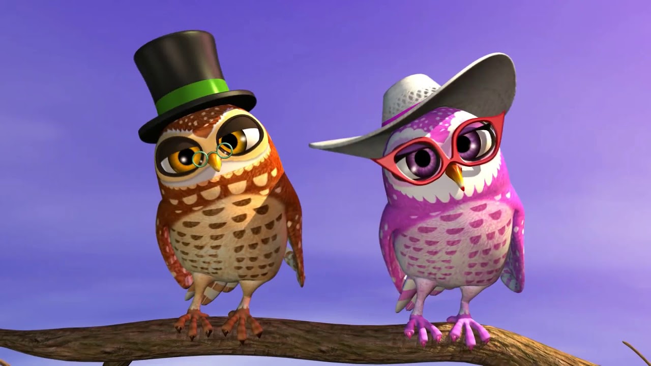 miranda la lechuza y miron el lechuzon 30 minutos