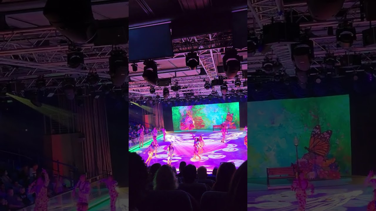 365: The Seasons On Ice - Wonder of the Seas!