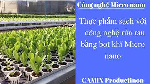 MÁY RỬA RAU, TRÁI CÂY BẰNG CÔNG NGHỆ MICRO NANO BUBBLE JAPAN