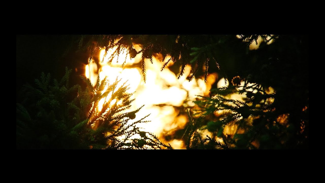 Hewkii - Bhagavad Gita [Official Music Video]