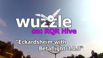 wuzzle on: RQR Hive - Eckardsheim with Betaflight 3.0.0