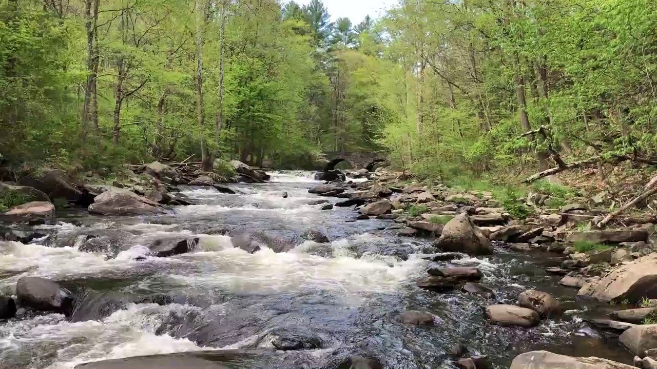 Photography Adventures Ten Mile River Scenes YouTube