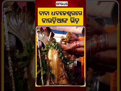 ବାବା ଧବଳେଶ୍ଵରରେ କାଉଡିଆଙ୍କ ଭିଡ |Argus Reels |BabaDhabaleswar | LordShiva |ShivaBhakti |HarHarMahadev