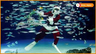 Slideshow: Dreaming of a socially distant Christmas