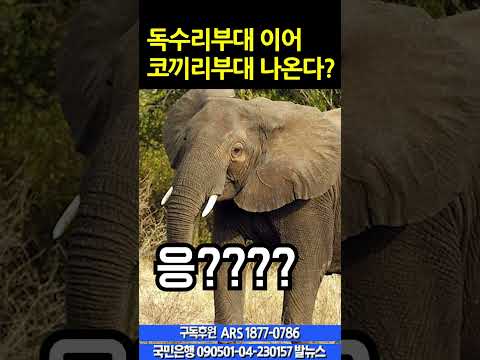 1.4 독수리부대 이어 코끼리부대 나온다?