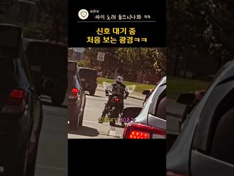 신호 대기중 처음보는 광경 ㅋㅋ🤭 thumbnail