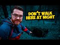 Disturbing discovery in the woods watch update for the answer