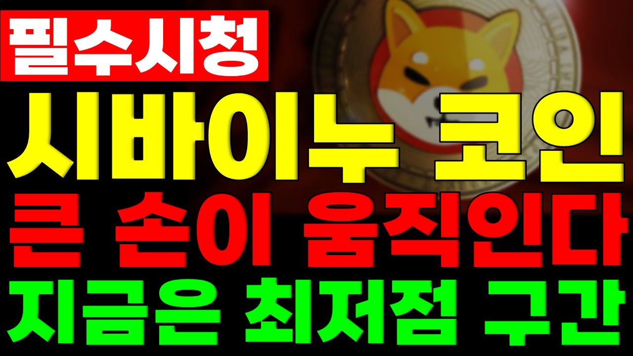 [시바이누 코인] 큰 손이 움직이기 시작했다..! 지금은 최저점 구간 #시바이누코인