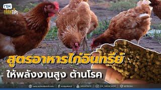 อาหารไก่ไข่เลือกแบบไหนดี 084-1751095 - โต๋ น้ำเมย ปากดง