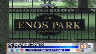 Shots fired at Springfield park