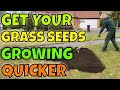 Using compost to cover grass seed  lawn goals start with this