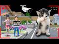 Yuta Mio Panik CCTV Merekam KUCING KICAU MANIA Di Depan Rumah 😱| Sakura School Simulator