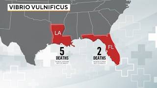 ‘Flesh Eating’ Bacteria Kills 7 Along Gulf Coast How to Protect Yourself