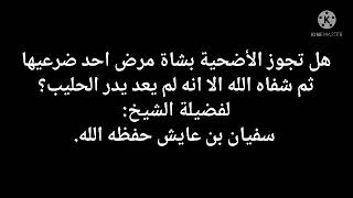 هل تجوز الأضحية بشاة مرض احد ضرعيها ثم شفاه الله الا انه لم يعد يدر الحليب؟، للشيخ سفيان عايش.