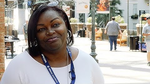 Excel Dashboards and Reports Made Fun | BizNet Software