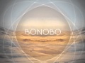 Maya Jane Coles : Something In The Air [Bonobo Remix]