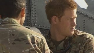 Prince Harry Taliban's 'primary target' in Camp Bastion attack