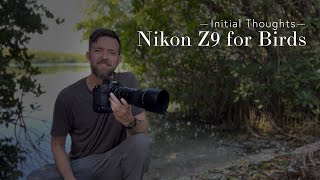 Nikon Z9 Initial Thoughts from a Bird Photographer