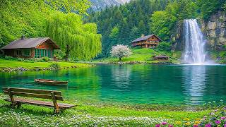 العلاج بالموسيقى 🌿 يُهدئ الجهاز العصبي ويُنعش الروح، ويُساعد على الاسترخاء #4 screenshot 5