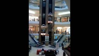 Famous Shoppers weren't expecting this! #elevator #glass #collapse #crash #viral #fall #news #disaster Wealth