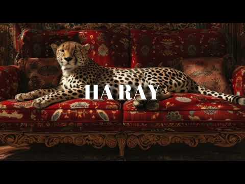 HA RAY Draganov X Small X Type Beat 2025