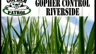 Riverside Gopher Control