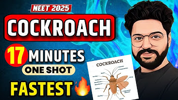 COCKROACH: Fastest One Shot (17 Min)🔥| Final Revision | Neet 2025