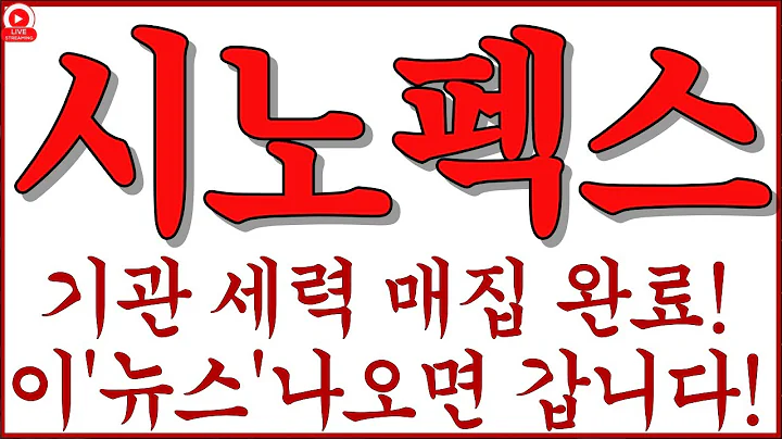 [시노펙스 주가전망] “멤브레인·분리막 더블 모멘텀 점화!” 2차전지+클린룸 수요가 당긴다! 매물대 돌파 레벨 지금 공개!
