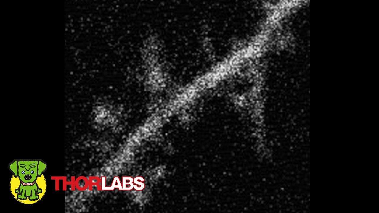 High Resolution Live Calcium Imaging - YouTube