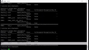 NetApp Volume Encryption (NVE)