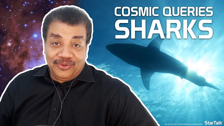 StarTalk Podcast: Cosmic Queries  Sharks, with Nei...
