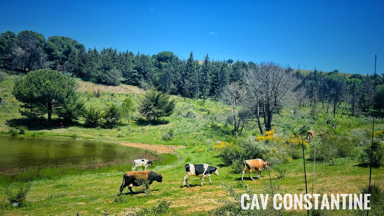 خرجتنا في بحيرات جبل الوحش قسنطينة