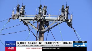 Squirrel caused power outages in Germantown