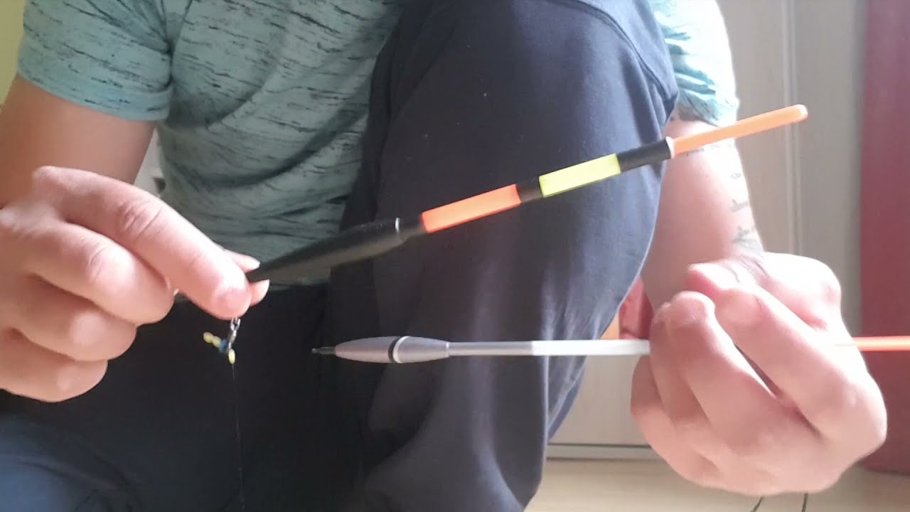 Montură pentru bologneză 🇷🇴