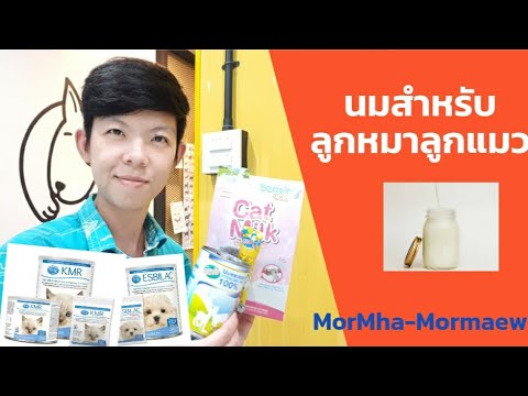 นมสำหรับลูกสุนัขลูกแมวมีแบบไหนบ้าง นมวัวให้สุนัขแมวกินได้มั้ย ?