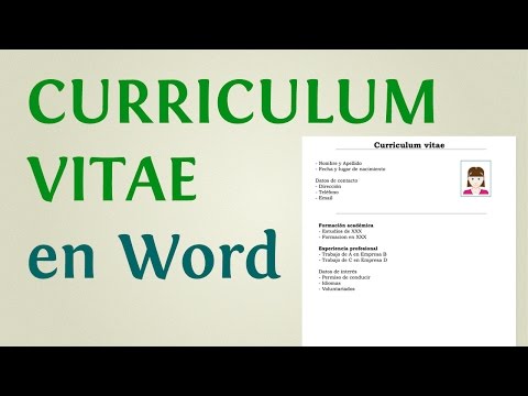 Pautas De Formato De Curriculum Vitae (Cv) Con Ejemplos