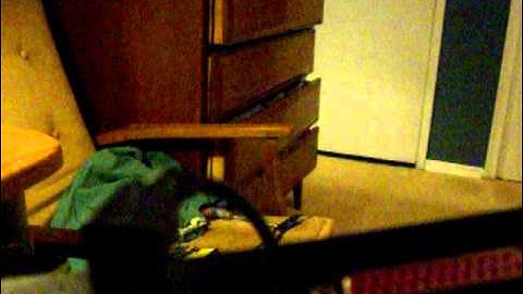 A Little More About The IBM Thinkpad A31