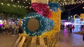 Luces Y Sentimientos Así Vivió Bochil El Encendido Del Árbol Navideño