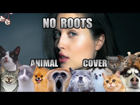 Alice Merton - No Roots Animal Cover
