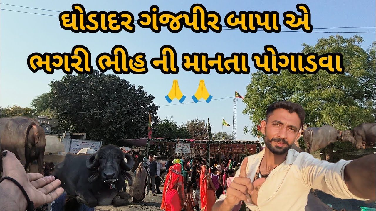 ભગરી ભીહ ની માનતા પોગાડવા ગંજપીર બાપા એ ઘોડાદર 🙏🙏🙏