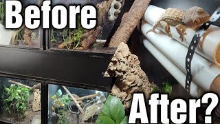 I Turned All My Tokay Gecko Set Ups Into Bioactive Enclosures!!