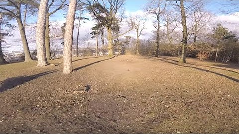Around the trees - / FPV Proxy Freestyle