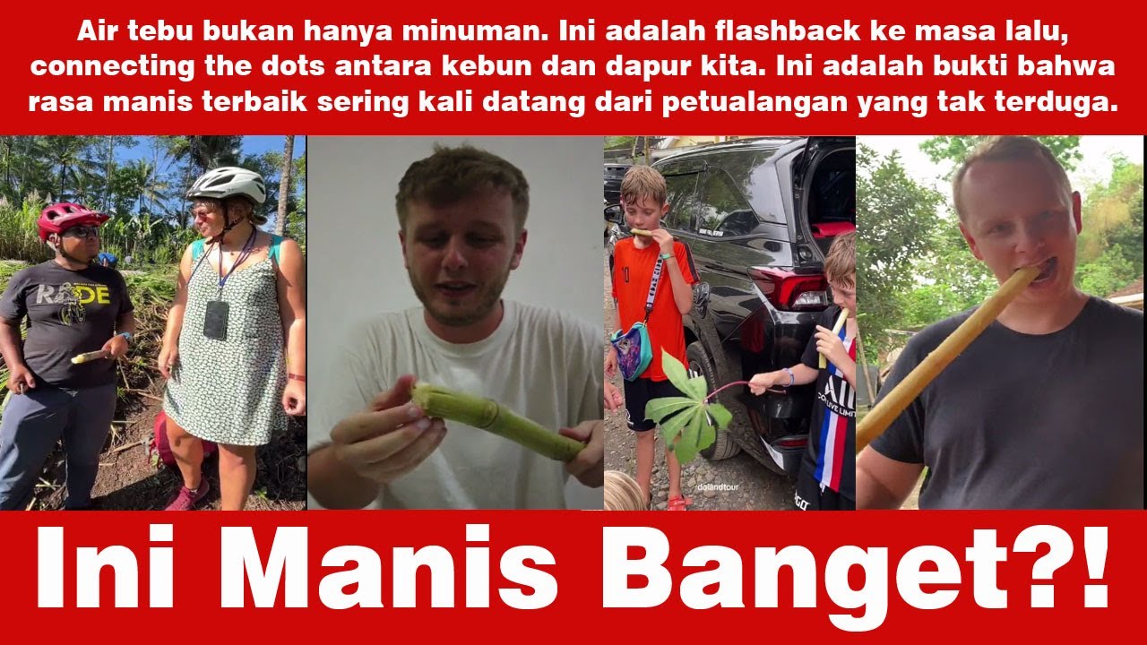 Tebu Disangka Kayu! Bule Ini Baru Tahu Kenikmatannya!