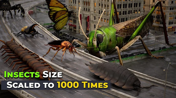 If Insects' Size Increased to 1000 Times| Imaginary Size Comparison bugs thumbnail