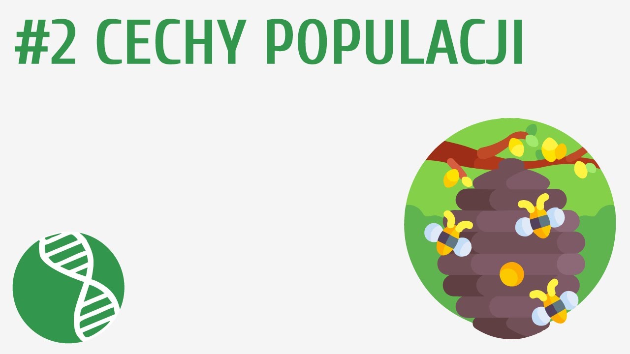 Ekologia Sprawdzian Klasa 8 Puls życia Chomikuj